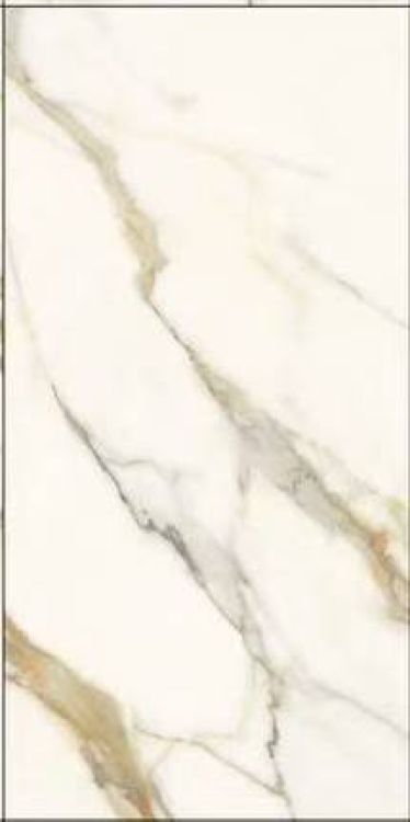 Time Dorado Polished 12 x 24